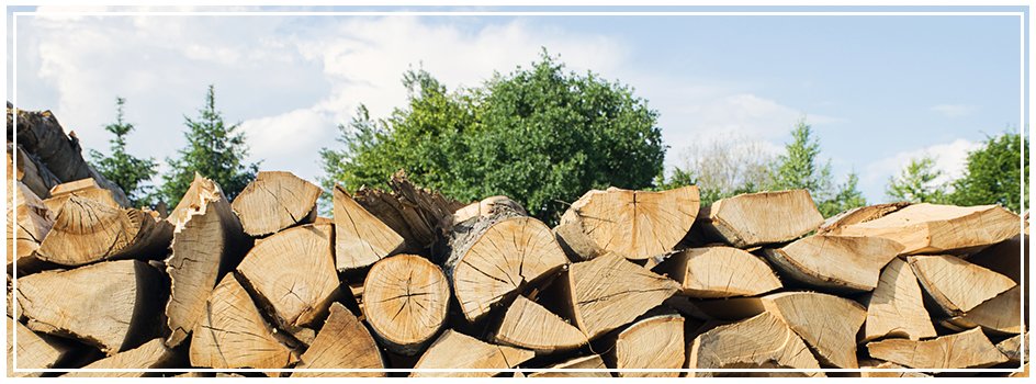 Bois-économique-et-responsable