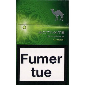 Camel Activate Shisha Vert